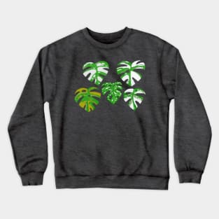 Variegated Monstera in Gouache Crewneck Sweatshirt